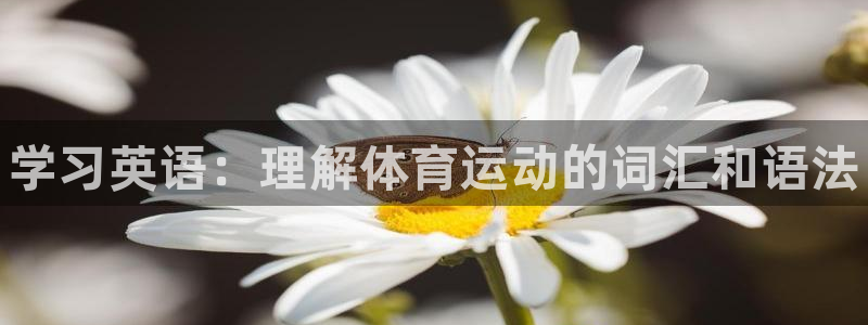 千亿国际官方正版app新能源