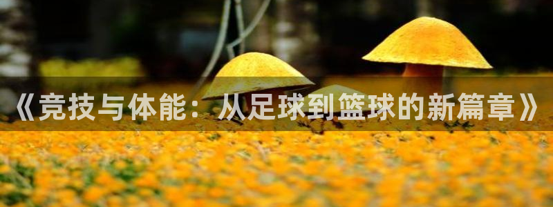千亿国际官方平台体育