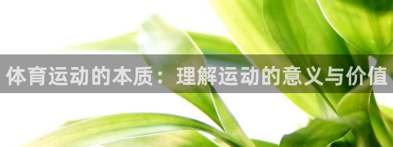 千亿国际官方正版app集团E.ON
