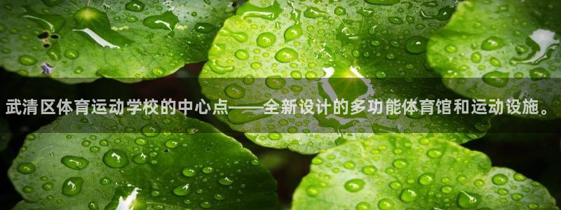 千亿国际官网下载平台注册要钱吗：武清区体育运动学校的中心点—
