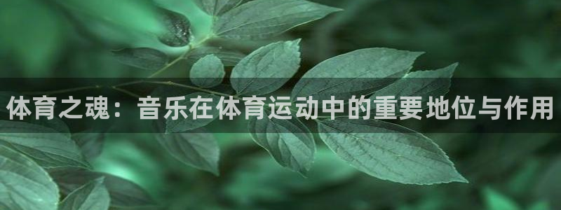 千亿国际官方平台体育：体育之魂：音乐在体育运动中的重要地位与