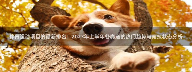 德国千亿国际官方正版app集团：体育运动项目的最新排名：20