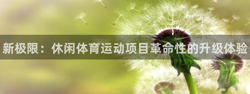 千亿国际官网下载平台假的吗是真的吗吗：新极限：休闲体育运动项